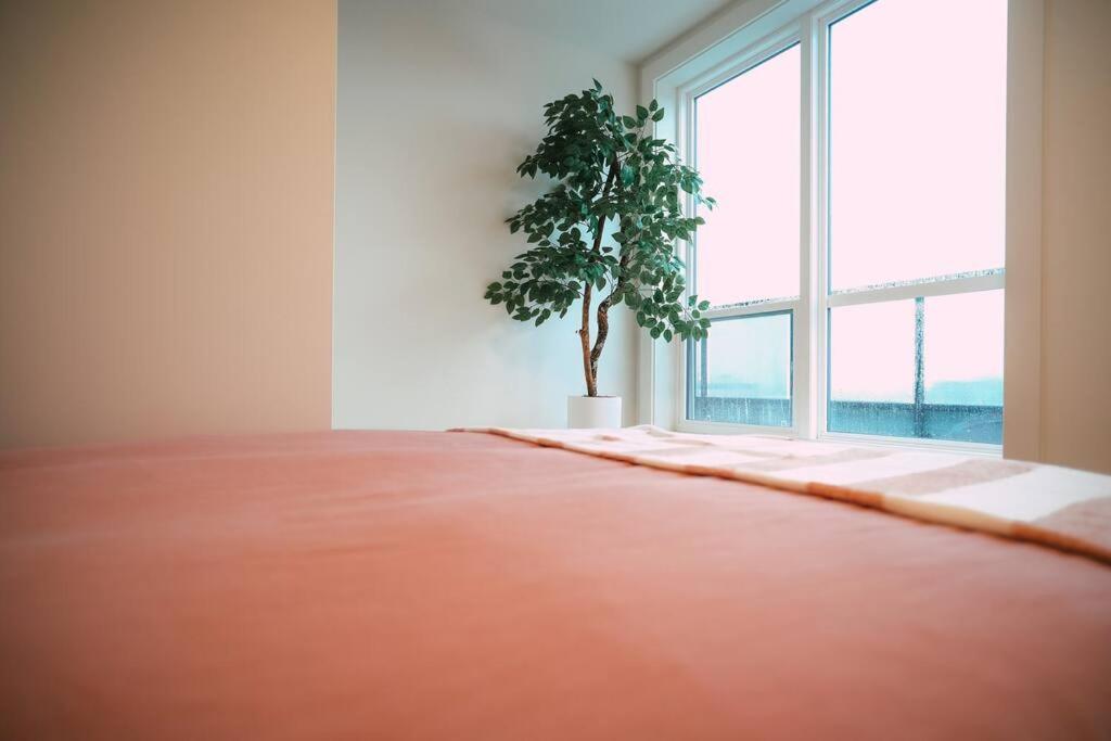 핼리팩스 Chic Cozy Retreat - 2Br - Stunning North End Views 아파트 외부 사진